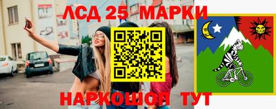 гидропоника Краснознаменск
