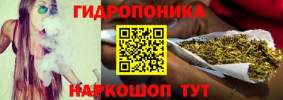гидропоника Краснознаменск