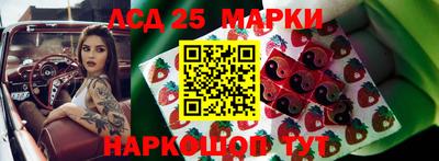 гидропоника Краснознаменск
