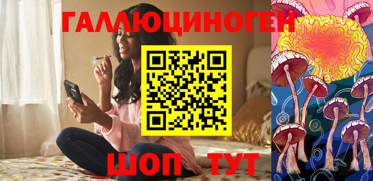 Псилоцибиновые грибы GOLDEN TEACHER  Вход с VPN  Карачаевск  Псилоцибиновые грибы GOLDEN TEACHER 